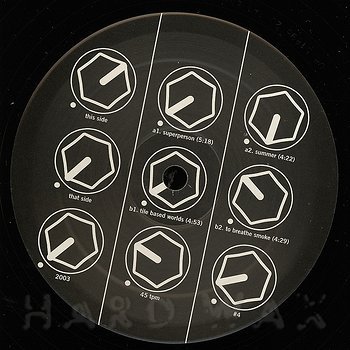 Celebrities with Curly Hair: Taming the Textures with Confidence