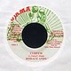 Horace Andy: Curfew