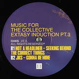 Various Artists: Ritualistic Discoteca Music For The Collective Extasy Induction Pt.3