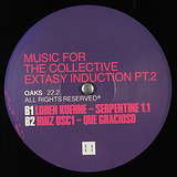 Various Artists: Ritualistic Discoteca Music For The Collective Extasy Induction Pt.2