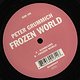 Peter Grummich: Frozen World