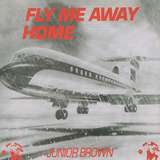 Junior Brown: Fly Me Away Home
