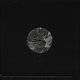 Murat Tepeli feat. Prosumer: On A Ride