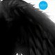 Johannes Heil: Freaks R Us