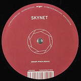 Skynet: Time On Earth