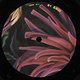Âme: Balandine EP