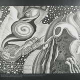 CV313: Dimensional Space