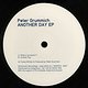 Peter Grummich: Another Day EP