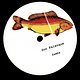 Son Palenque: Tony Allen Reworks