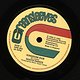 Jah Shaka: presents The Positive Message