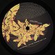 Mirko Loko: Seventynine Remixes