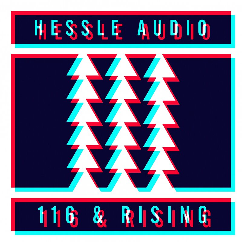 Various Artists: Hessle Audio: 116 & Rising