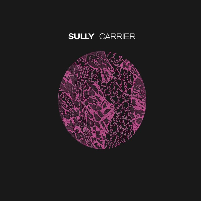 Sully: Carrier
