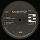 Morphology: Nucleosynthesis EP