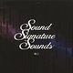 Theo Parrish: Sound Signature Sounds Vol. 2