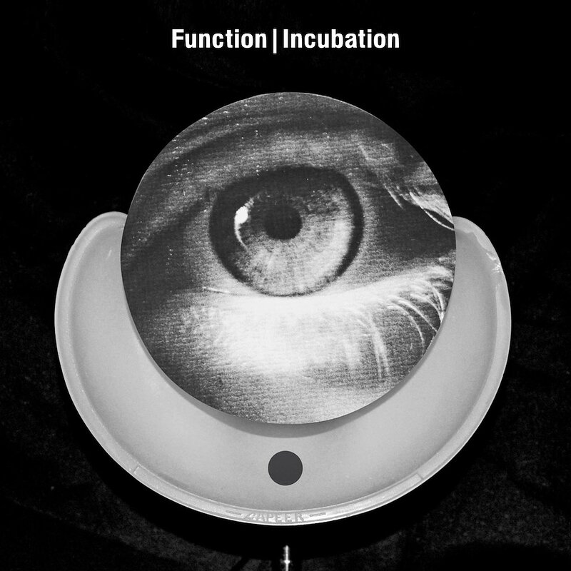Function: Incubation