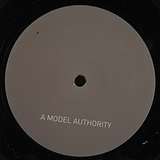 A Model Authority: Model 001