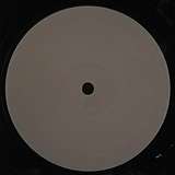 A Model Authority: Model 001