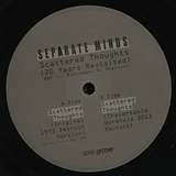 Separate Minds: Scattered Thoughts (20 Years Revisited)