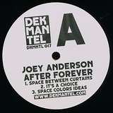Joey Anderson: After Forever
