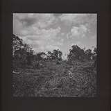 Bookworms: Compact Visual Nature