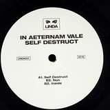 In Aeternam Vale: Self Destruct EP