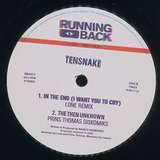 Tensnake: In The End (Remixes)
