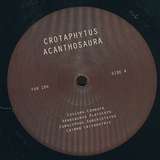 Crotaphytus: Acanthosaura