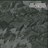 Joey Anderson: Invisible Switch