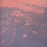 Scientific Dreamz of U: Afloat, On Complex Wings