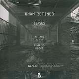 Unam Zetineb: Senses