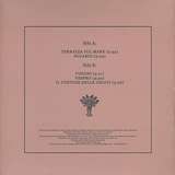 The Mystic Jungle Tribe: Qvisisana