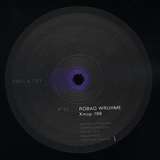 DJ Koze / Robag Wruhme: Driven