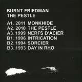Burnt Friedman: The Pestle