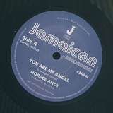 Horace Andy: You Are My Angel