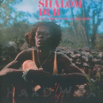 Cover art - King Tubby & The Aggrovators: Shalom Dub