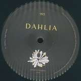 Various Artists: Eagle Nebula