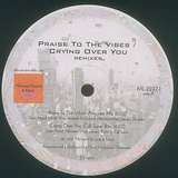Mr. Fingers: Praise To The Vibes / Crying Over You Remixes