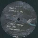 Tangram: Circadian Rhythms