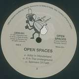 Open Spaces: Open Spaces
