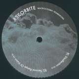 Ascorbite: Macrocosmic Framework