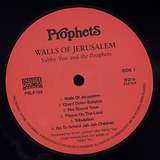 Yabby You Meets King Tubby: Walls Of Jerusalem