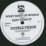 Double Vision: What Kind Of World