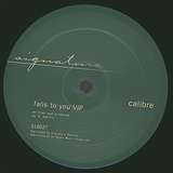 Calibre: Falls To You VIP / End Of Meaning