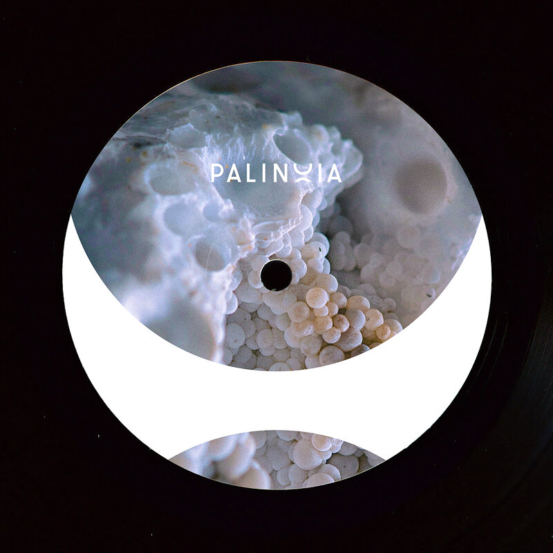 Eric Cloutier: Perpetual Booty Grooves Vol.1