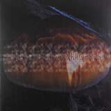 Mu Tate: Wanting Less