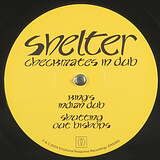 Shelter: Checkmates In Dub