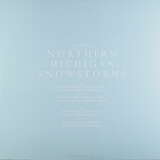 Rod Modell: Northern Michigan Snowstorms