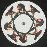 Panty Soaker Sound System: Hormones