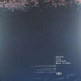 Phara: Soft Glow, Fierce Light